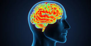 cabeça de lado com o cérebro aparecendo em um fundo preto com as áreas do cérebro marcadas em amarelo e vermelho